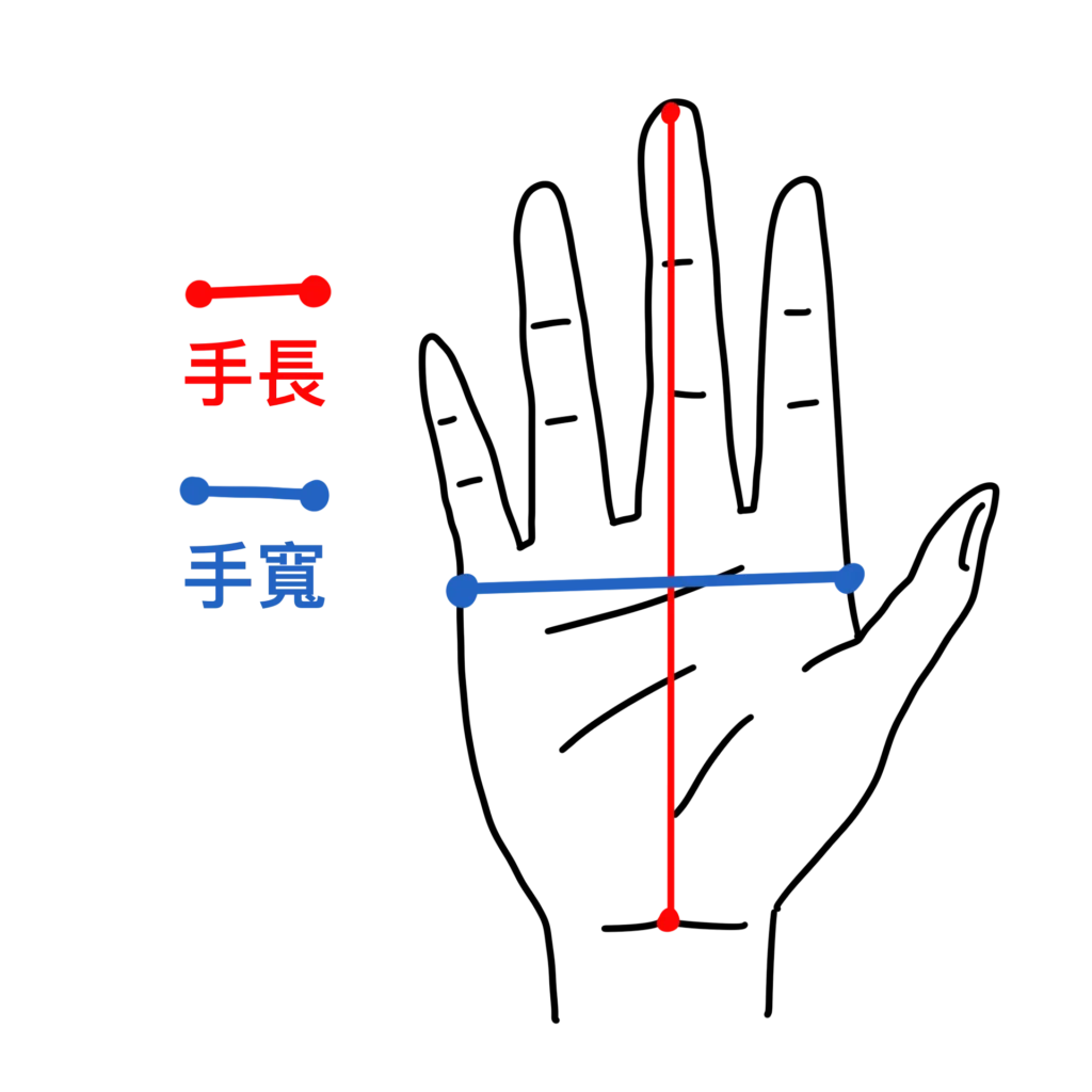 泰拳教室網站-商品-拳套-手掌尺寸測量示意圖