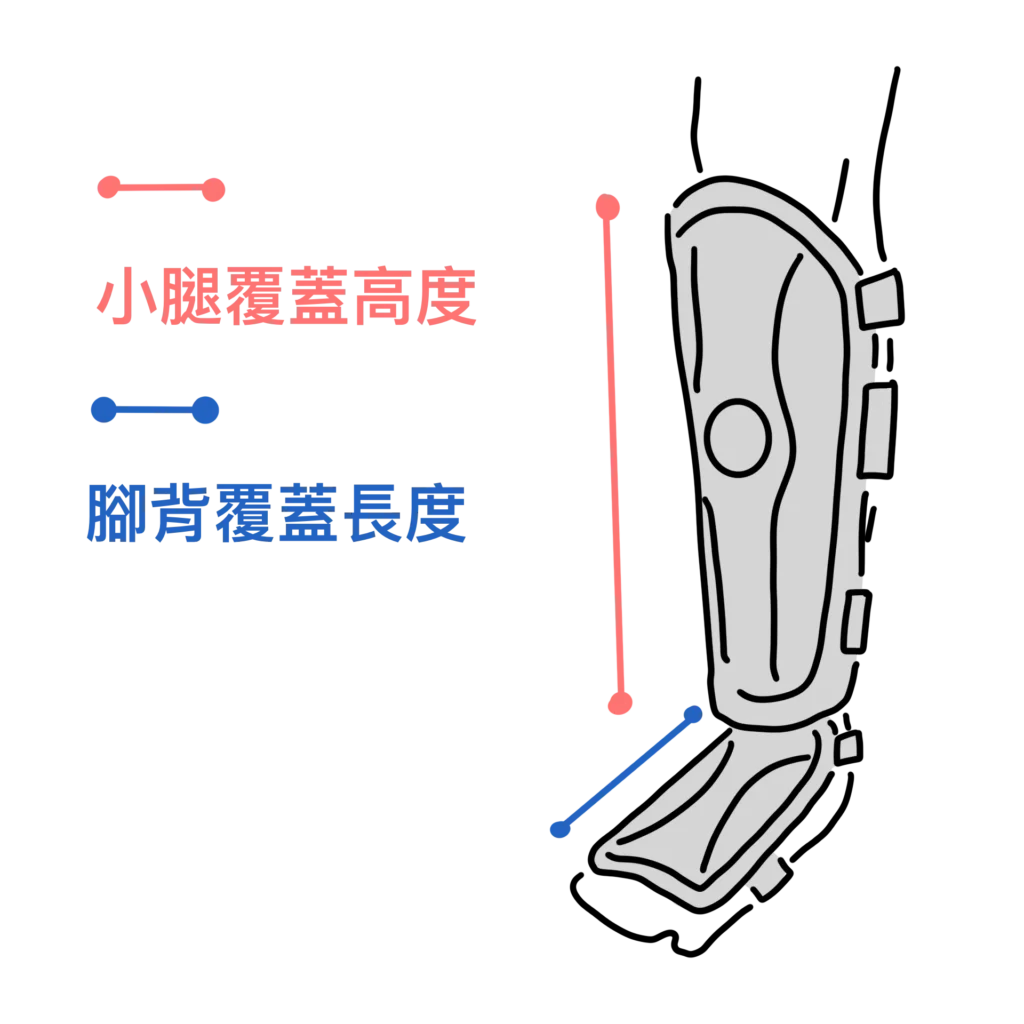 泰拳教室網站-商品-護具-護腳脛尺寸示意圖