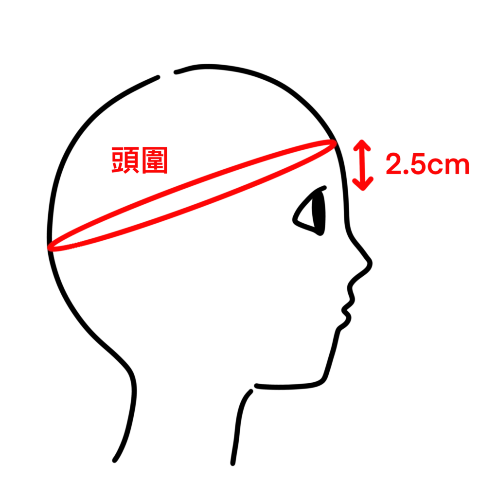 泰拳教室網站-商品-護頭-頭圍測量示意圖