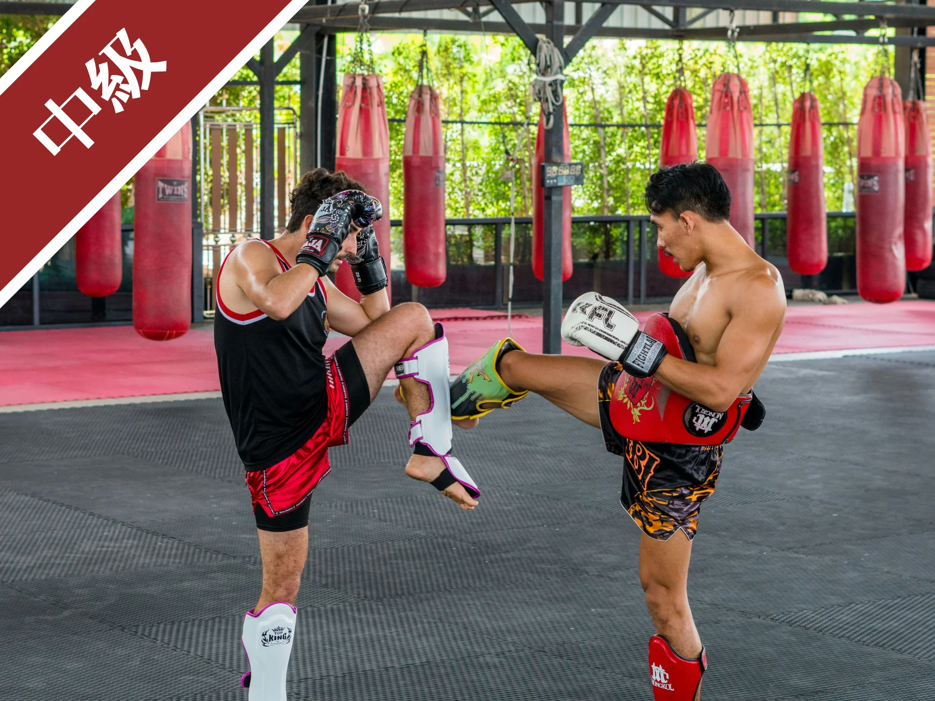 泰拳教室網站-泰拳課程宣傳圖-一對一專班-中級