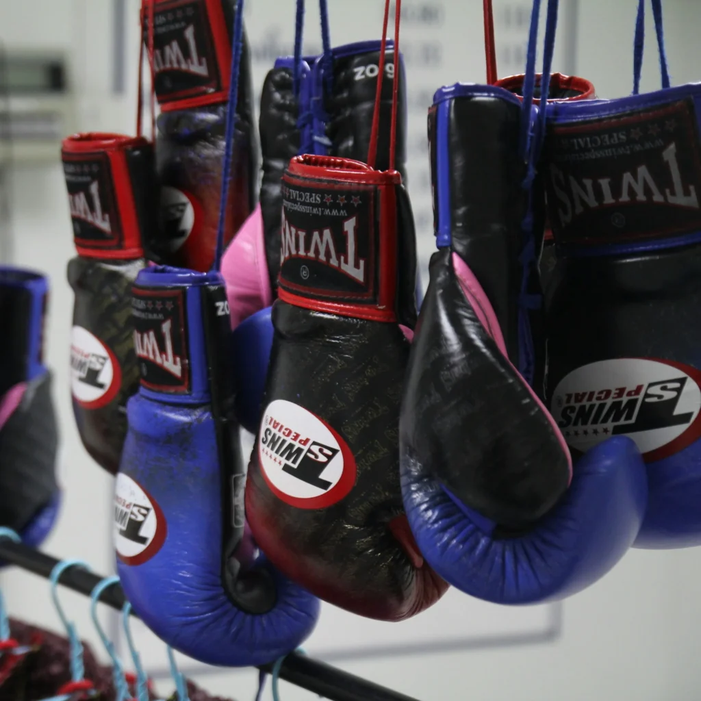 泰拳教室網站-裝備介紹-拳套